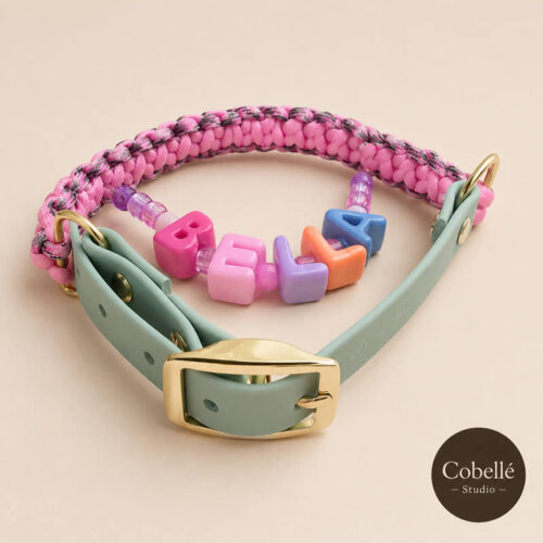 Personalized Collar